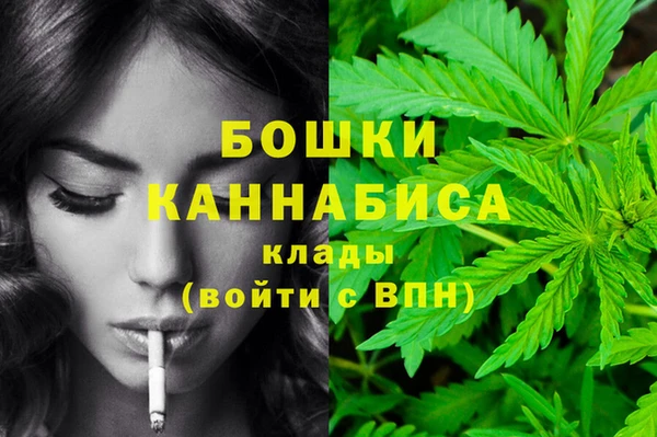 дмт Майский