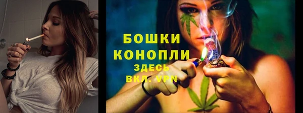 гидра Магас