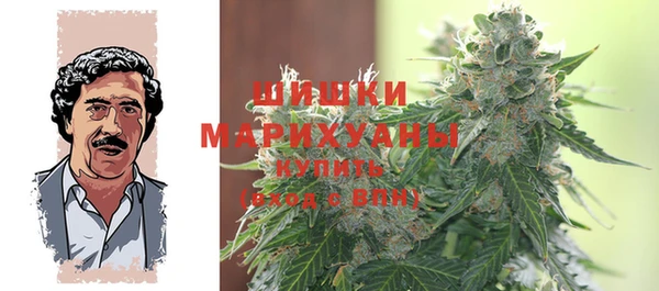 гидра Магас