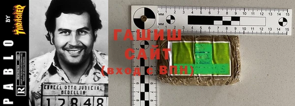 гидра Магас