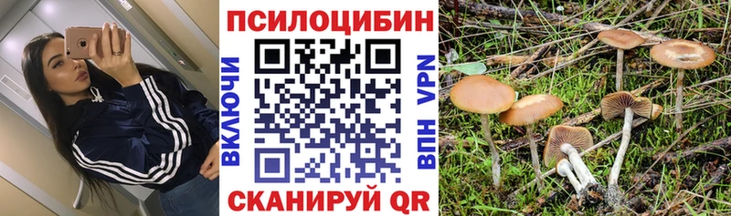 дарк нет наркотические препараты  где купить наркотик  Выкса  Галлюциногенные грибы GOLDEN TEACHER 