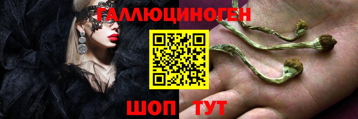 Выкса  Псилоцибиновые грибы Cubensis  Вход с VPN 