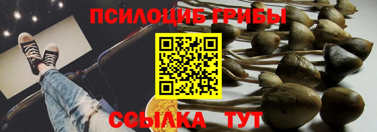 Галлюциногенные грибы прущие грибы Выкса